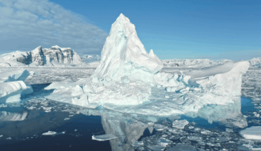 Antarctic Sea Ice Faces Unprecedented Collapse As Ocean Heat Surfaces