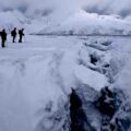 arctic