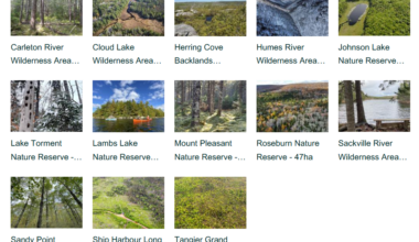 New Nature Reserve Announced; More Land, Water Protected in Nova Scotia