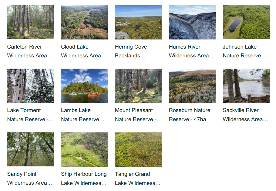New Nature Reserve Announced; More Land, Water Protected in Nova Scotia
