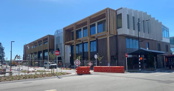 Ashburton 'screwed' in local government reforms – councillor