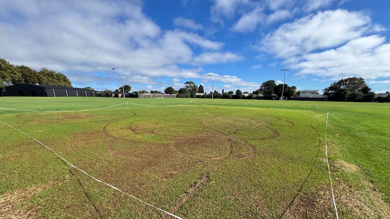 Auckland Council says the vandalism "is not isolated to Manurewa Memorial Park".