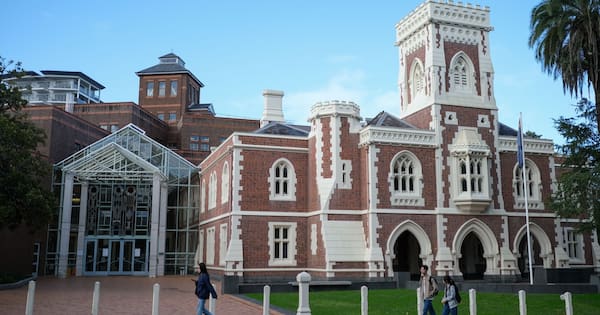 Auckland man who strangled partner pleads guilty to manslaughter