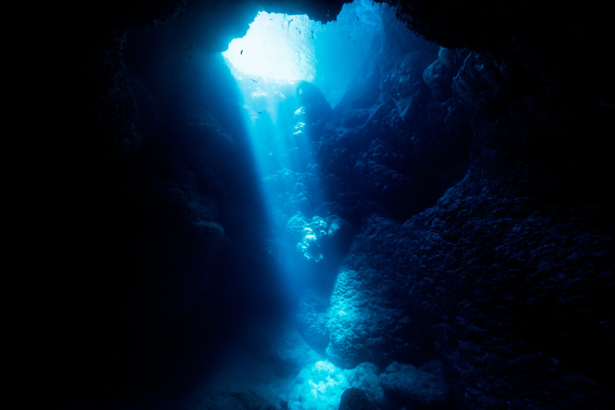 Photo shows the sunlight shining into a deep ocean cave. Scientists have found unexpectedly diverse marine life while investigating deep submarine canyons off the Australian coast, including a giant squid