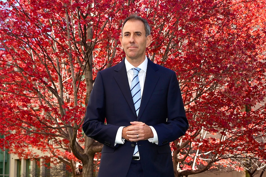 A man in a suit standing in front of a bright crimson tree.