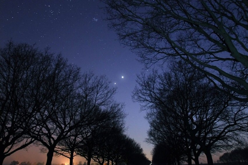 Dark avenue lined with black trees beneath a starry sky, two particularly bright spots are shining in the sky.