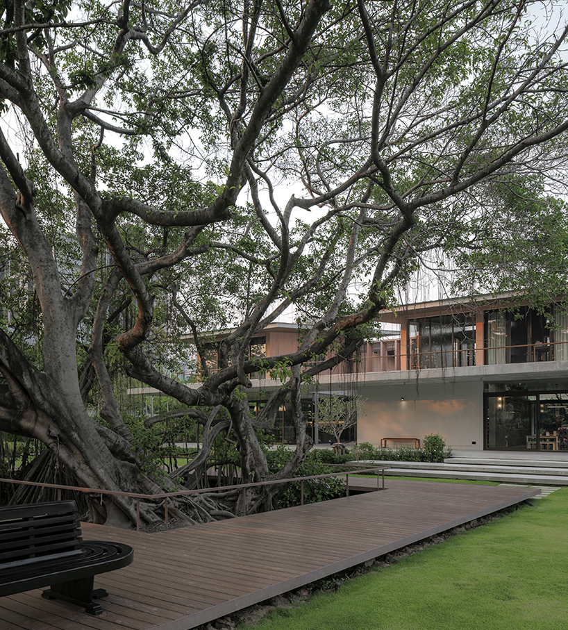 a pair of banyan trees anchors anonym studio’s open-air family house in thailand - 1