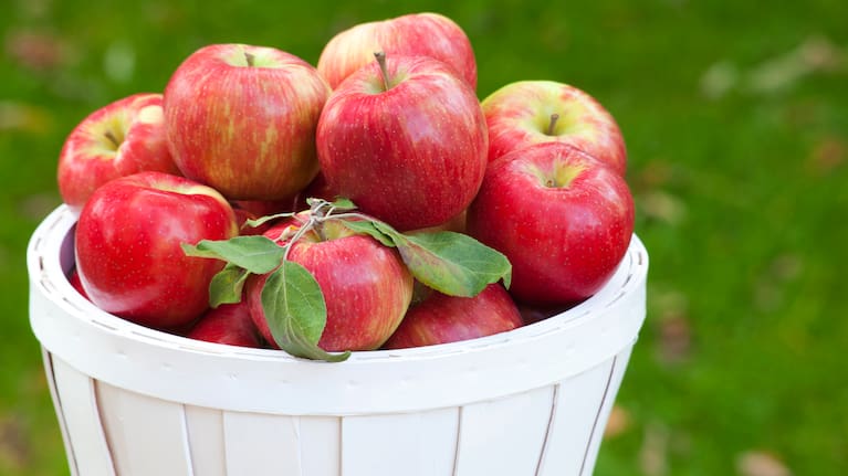 A basket of apples (file photo)