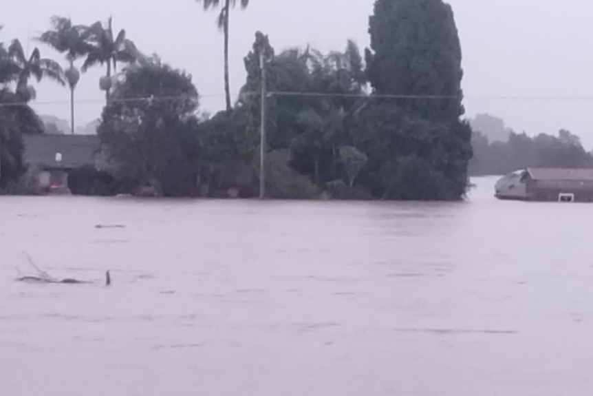 Houses and road submerged in floodwater, grey monochrome sky, water and trees.