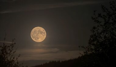 Rare Blue Micromoon Won't Return Until 2053 – Don't Miss It This Week! : ScienceAlert
