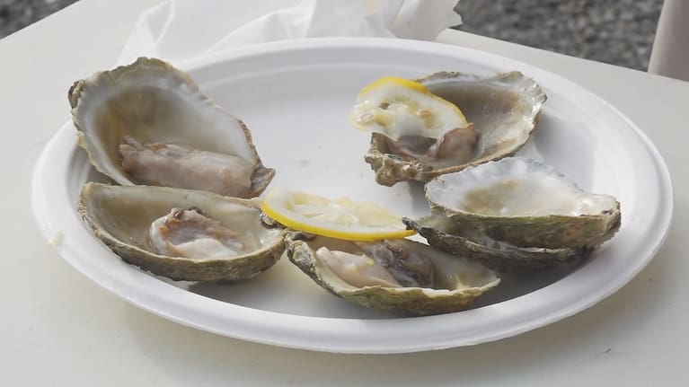 Uncertainty over whether enough Bluff oysters would be available for the event had also added further pressure.