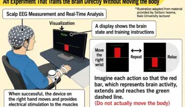 brain test