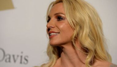 Britney Spears pleads guilty to lesser charge in DUI case