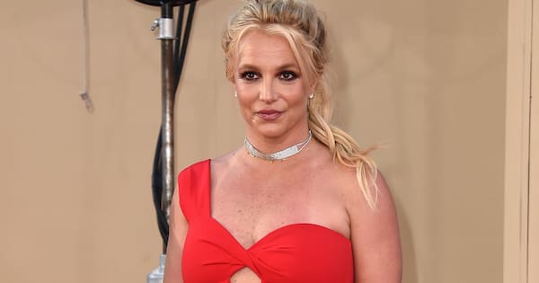 Britney Spears offered to make lasagne for officers during DUI stop