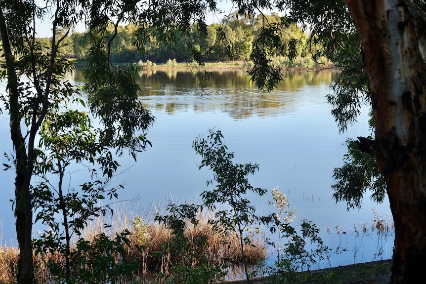 green trees on the side of a blue lake