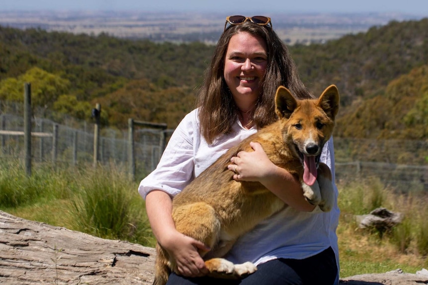 A woman holding a dingo