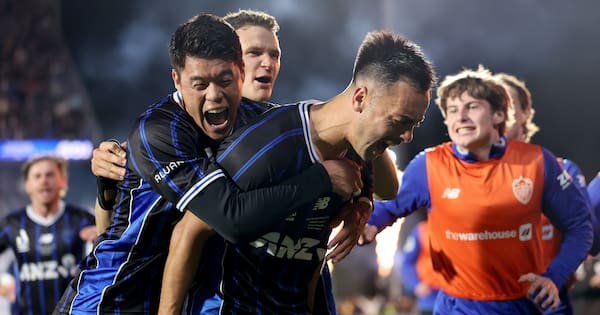 Auckland FC A-League champions after second season