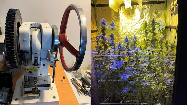 Authorities found a pill press machine and cannibis plants at the defendants address.