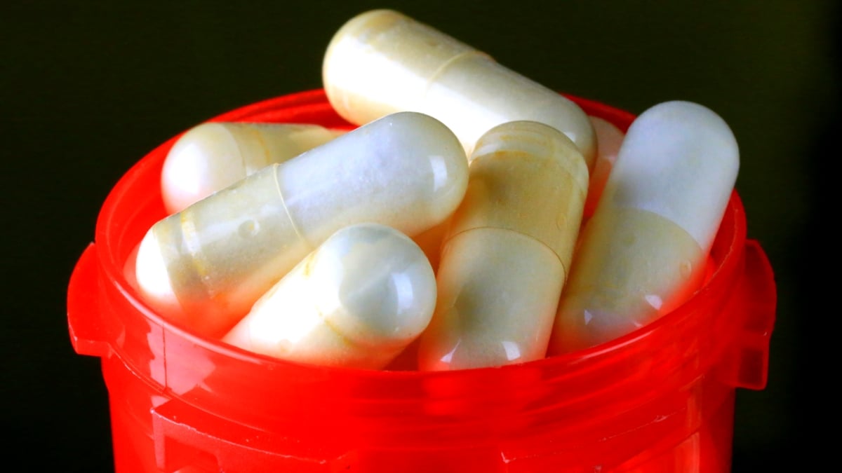 What Are You Actually Swallowing When You Take Probiotics? : ScienceAlert