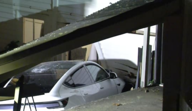 Injuries after car crashes into Auckland house during 21st party