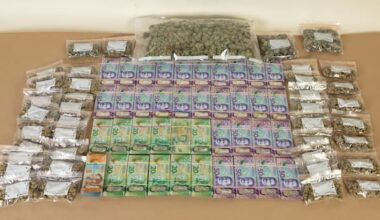 Southland raids following 'routine arrest' uncover drugs, over $60,000 cash