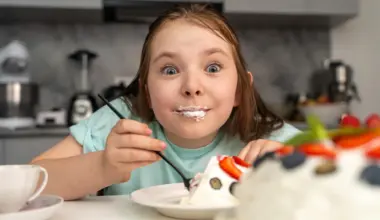 Childhood junk food may rewire the brain for life