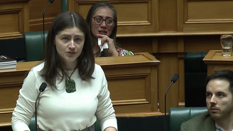 Chlöe Swarbrick speaks in Parliament (file image).