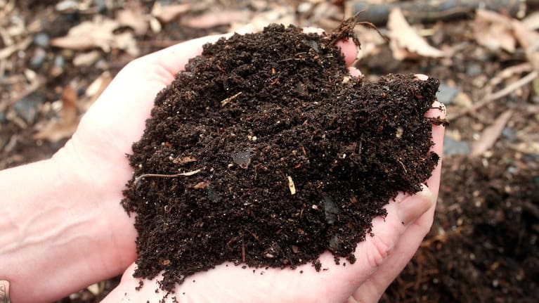 Compost made from decomposed green kitchen scraps, yard litter and garden waste, appears in New Market, Va., on March 8, 2009. 