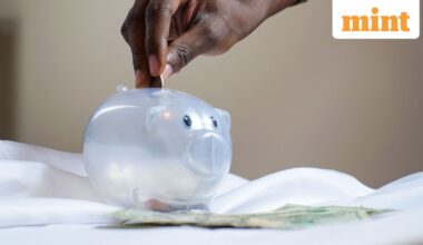 What is NPS Sanchay? Check eligibility, withdrawal rules and investment details