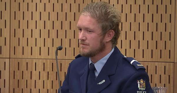 Policeman describes headlights 'coming directly at us' as officers struck