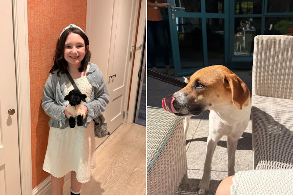 Girl with stuffed sheep. Dog with tongue out.