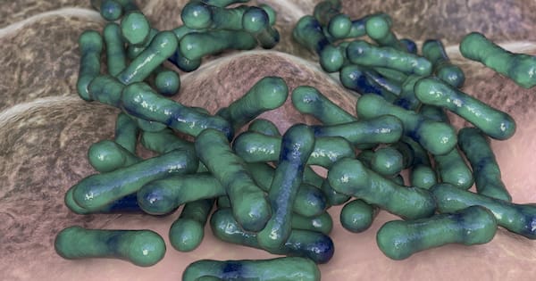 Australia’s deadly disease outbreak linked to waning vaccinations