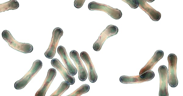 'This is serious': Respiratory disease outbreak spreads in Australia