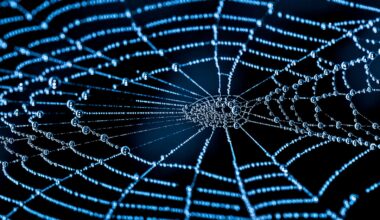 New map of the cosmic web is the most detailed ever