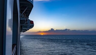 Hantavirus outbreak on Atlantic cruise ship kills three people