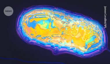 All life runs on 20 amino acids. These cells run key machinery on just 19