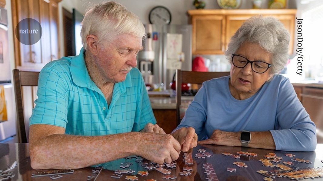 Immune cells in the blood drive cognitive ageing — blocking them improves memory