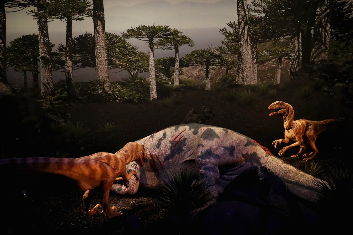Study suggests dinosaurs may have fed their young ones a special diet to grow faster