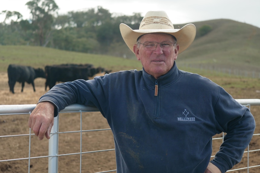 A man in a broad brim hat looks to camera; there are black cattle in a paddock behind him