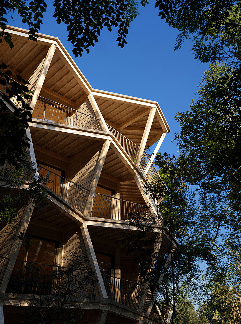 fragmented timber volumes compose forested mountain housing by arup in albania - 6
