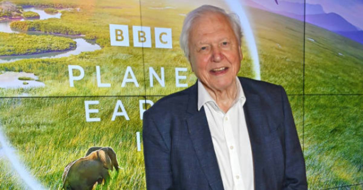 David Attenborough Returns To Narrate Blue Planet III