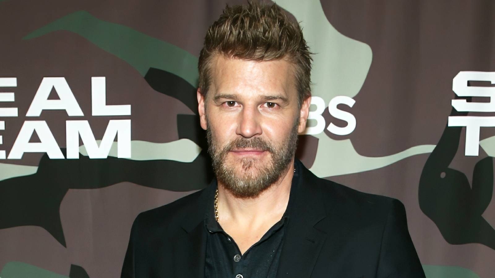 David Boreanaz's New NBC Reboot of 52-Year-Old Detective Series Officially Confirmed