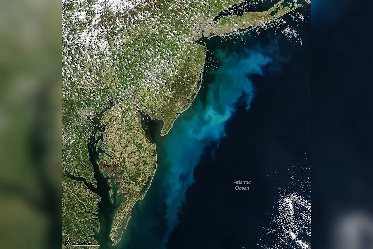 NASA Satellite Images Show Huge Colored Plumes Staining the Ocean