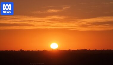 Extreme heat the most deadly yet preventable natural disaster, NSW Net Zero Commission says