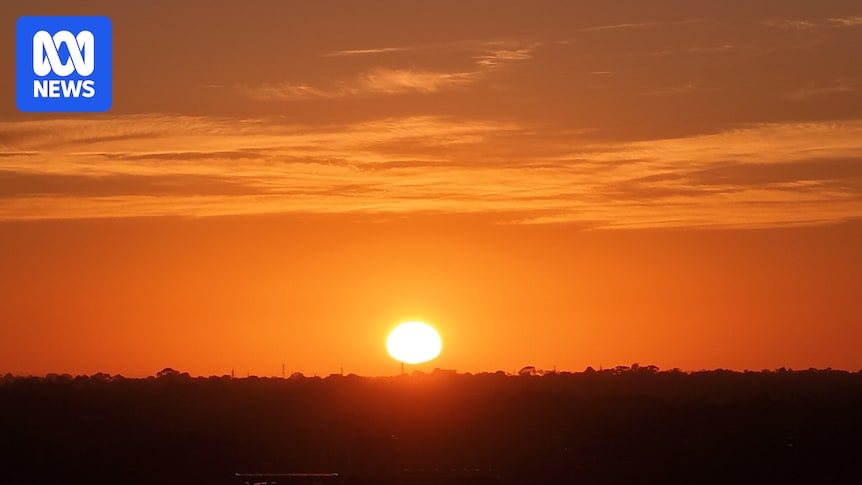 Extreme heat the most deadly yet preventable natural disaster, NSW Net Zero Commission says