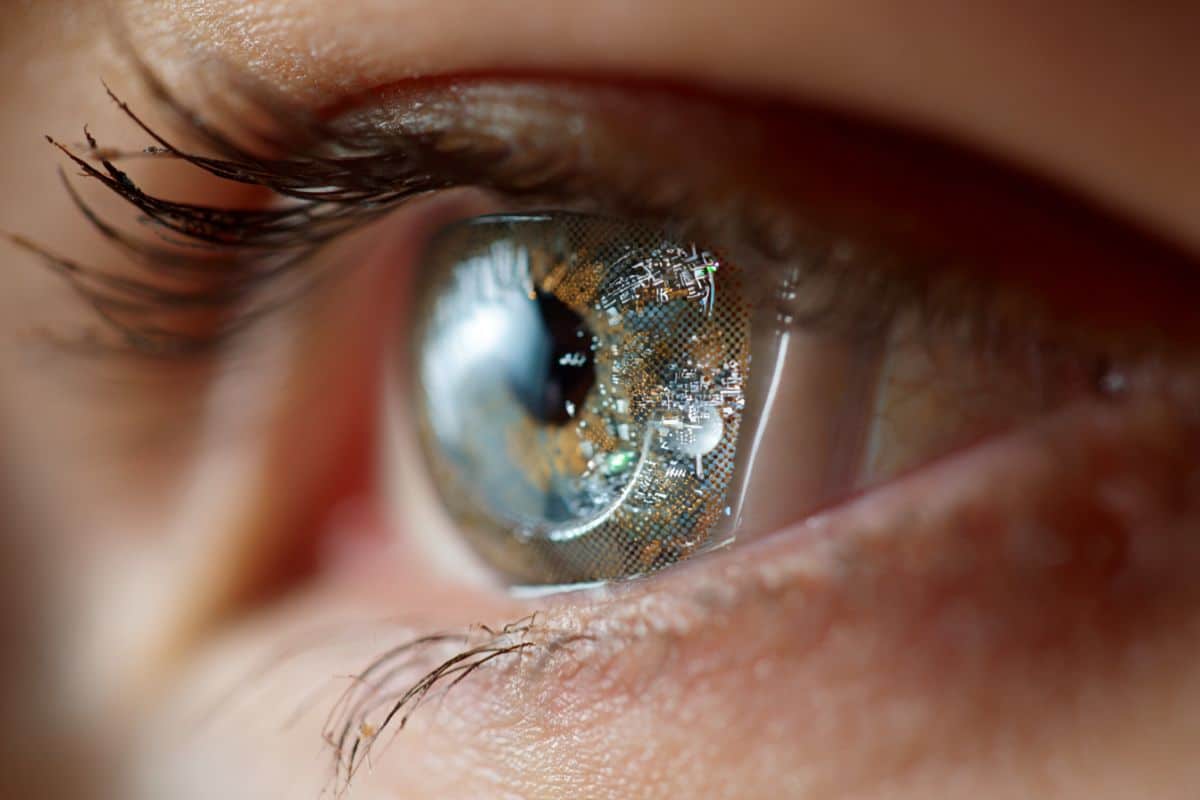 Neuroscience News logo for mobile.