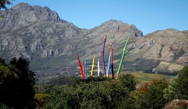 24 sculpted trees become giant colored pencils in south african land art installation