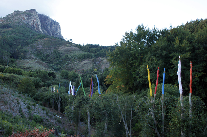 24 sculpted trees become giant colored pencils in south african land art installation - 1