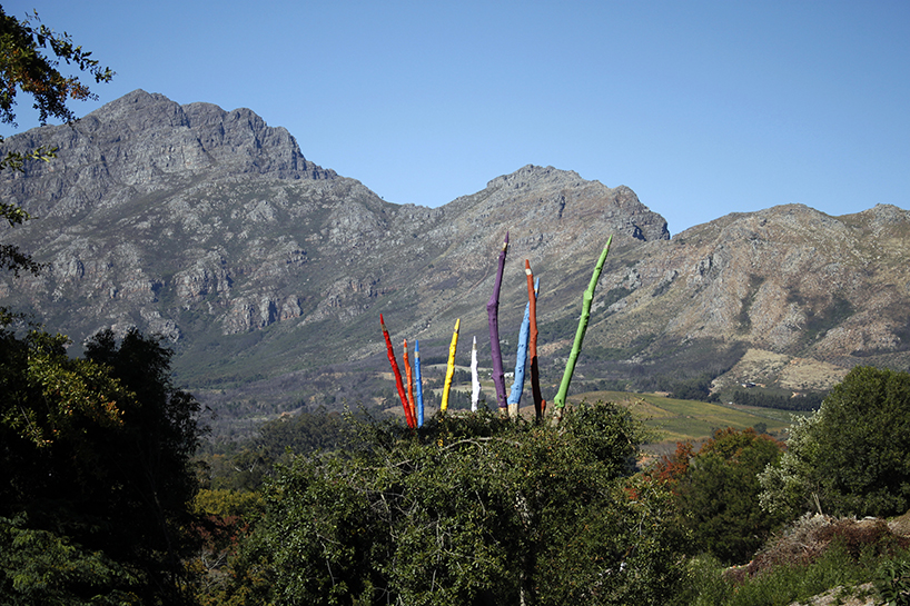 24 sculpted trees become giant colored pencils in south african land art installation - 3