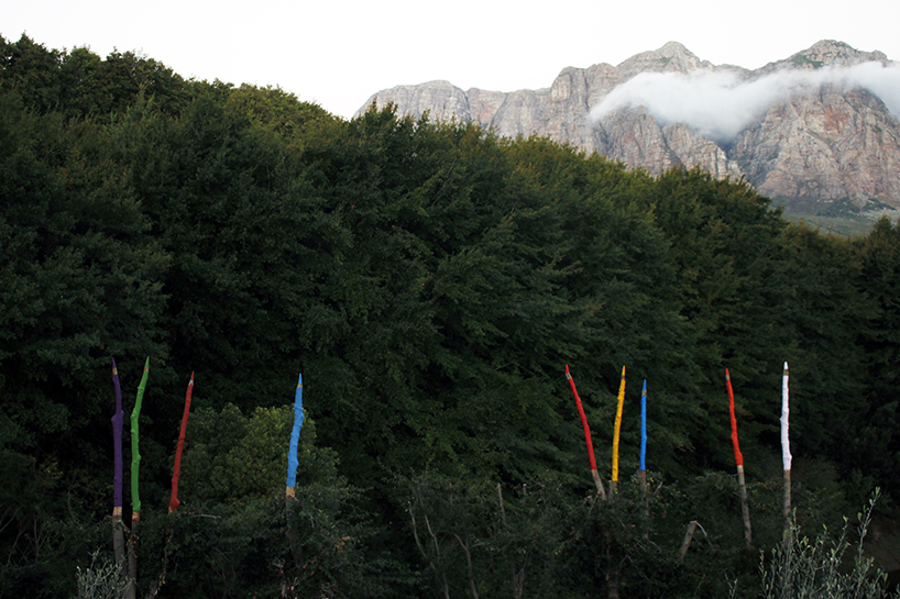 24 sculpted trees become giant colored pencils in south african land art installation - 2